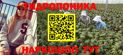 ГАЛЛЮЦИНОГЕННЫЕ ГРИБЫ Кулебаки