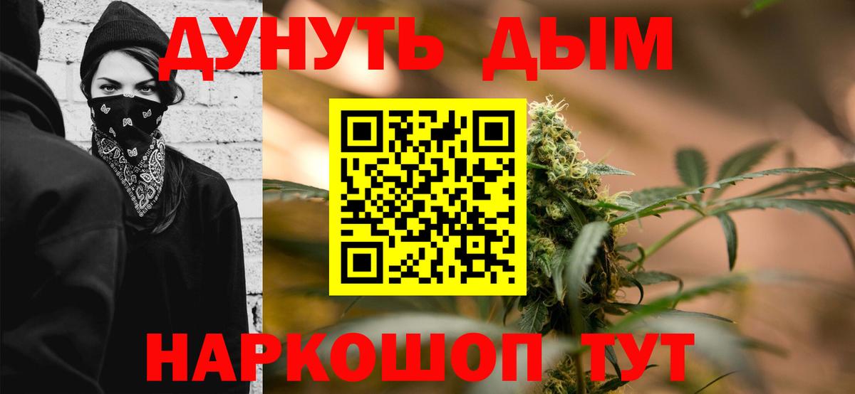 Бошки Шишки индика  Каннабис планчик  Конопля семена  Гусиноозёрск  Вход с VPN 